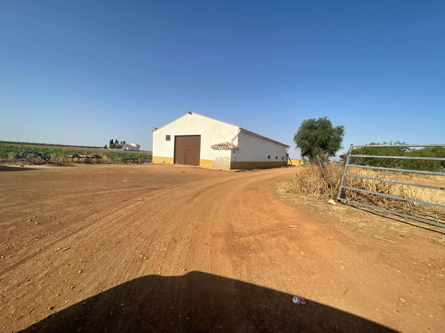 Terreny rústic en venda a CM-3126 15, imagen 11