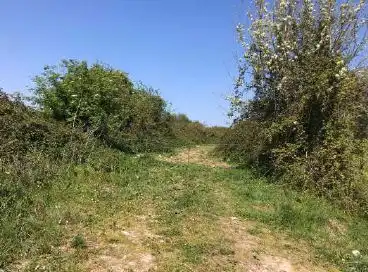 Terrain rustique à vendre à DEL COTARON. Polígono 103 Parcela 33, imagen 4