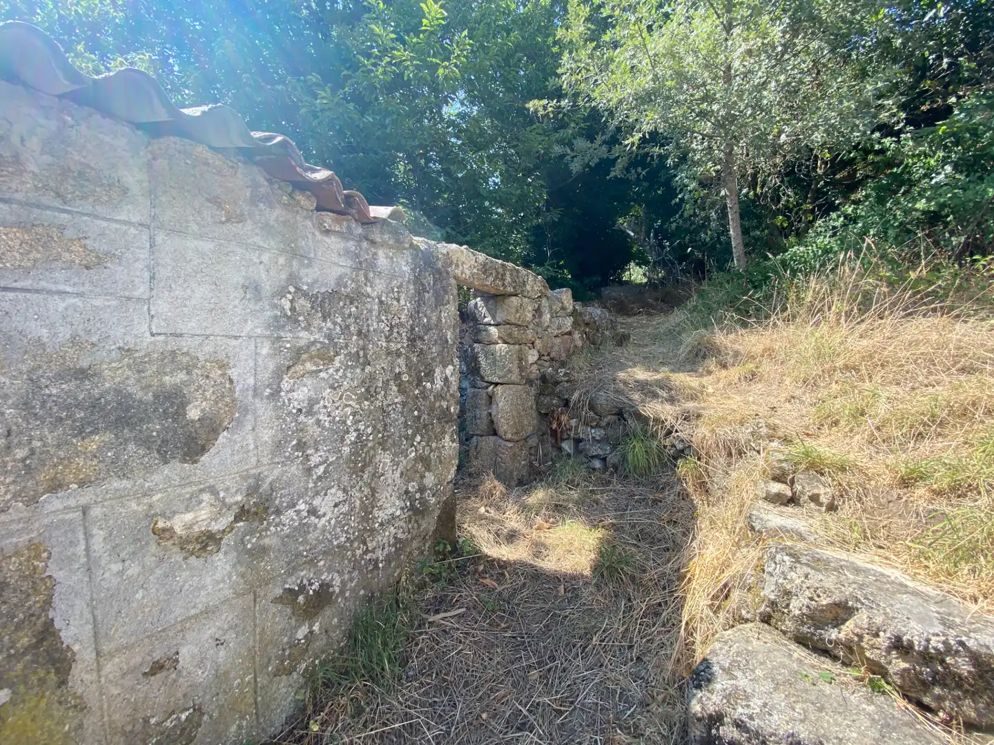 Finca rústica en venta en Bande con Jardín privado