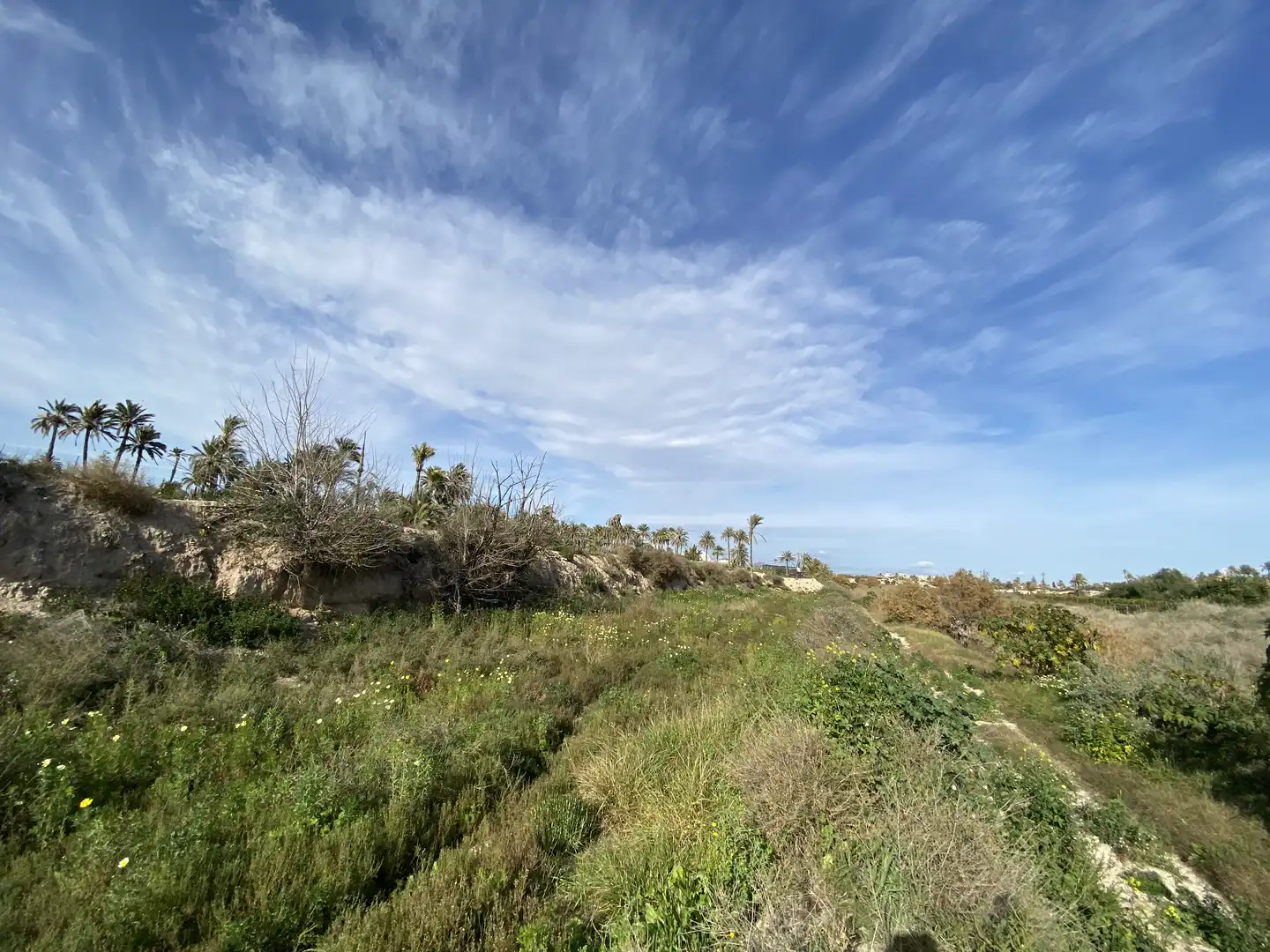Residencial en venta en PD ALGOROS 8006(B)ELCHE/ELX (ALICANTE), -1, Algorós - El Derramador