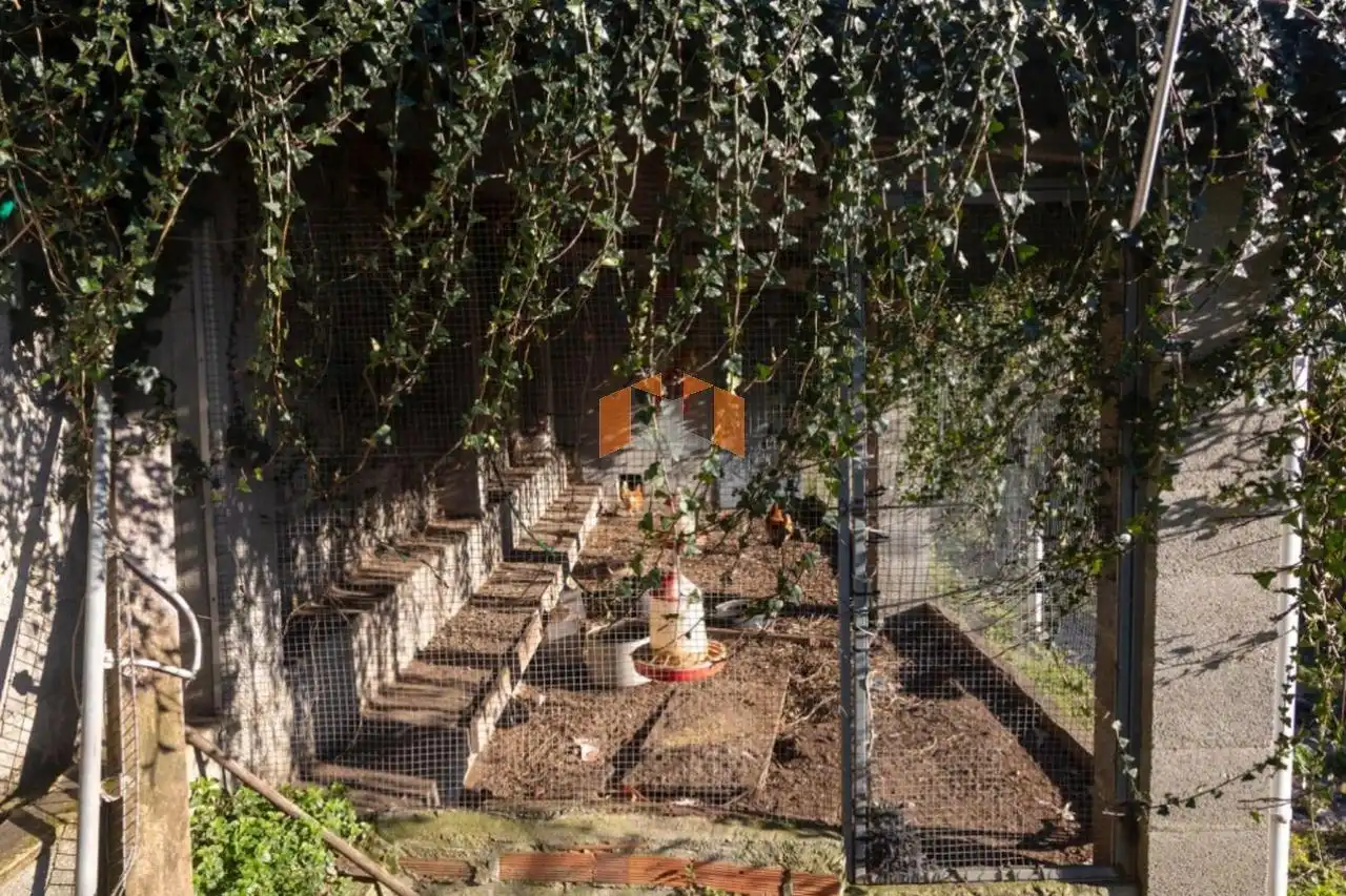 Jardí de Casa o xalet en venda en O Vicedo  amb Calefacció, Jardí privat i Parquet