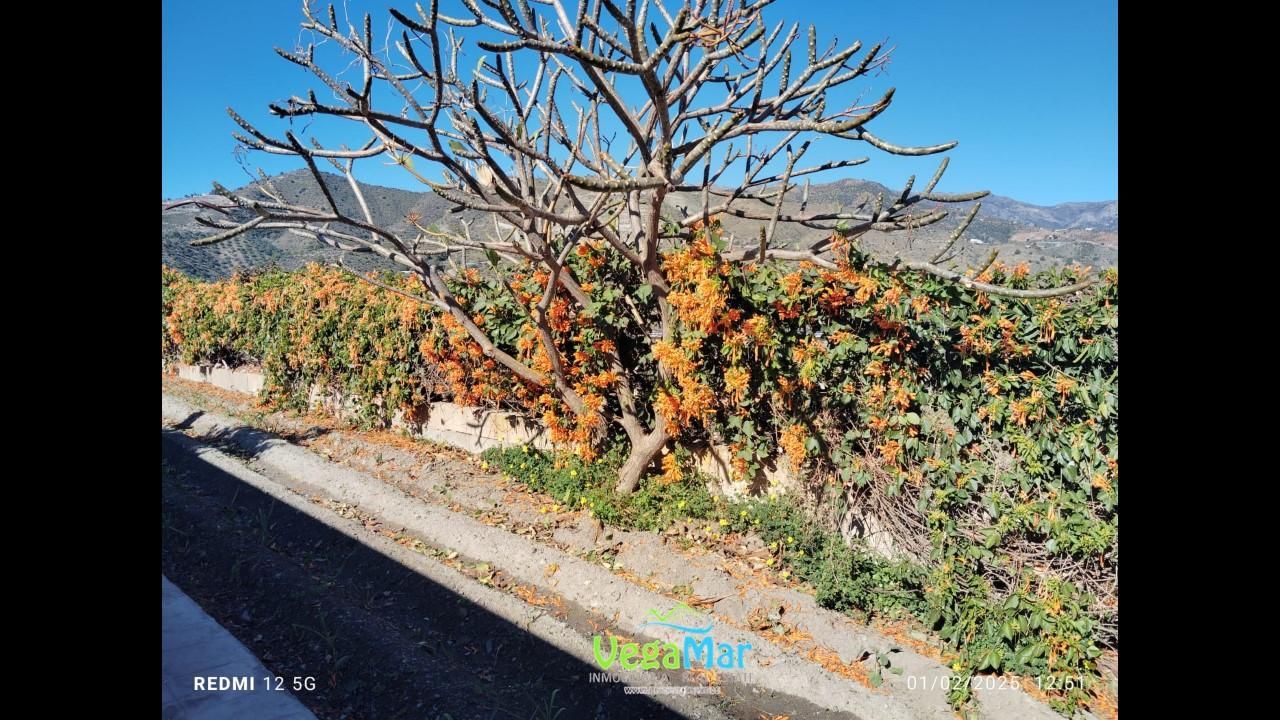 Exterior view of Country house for sale in Almuñécar  with Private garden, Terrace and Swimming Pool