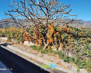 Finca rústica en venda a La Mezquitilla, La Herradura centro