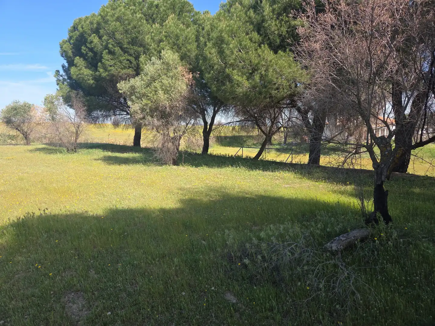 Finca rústica en venta en Navalcarnero