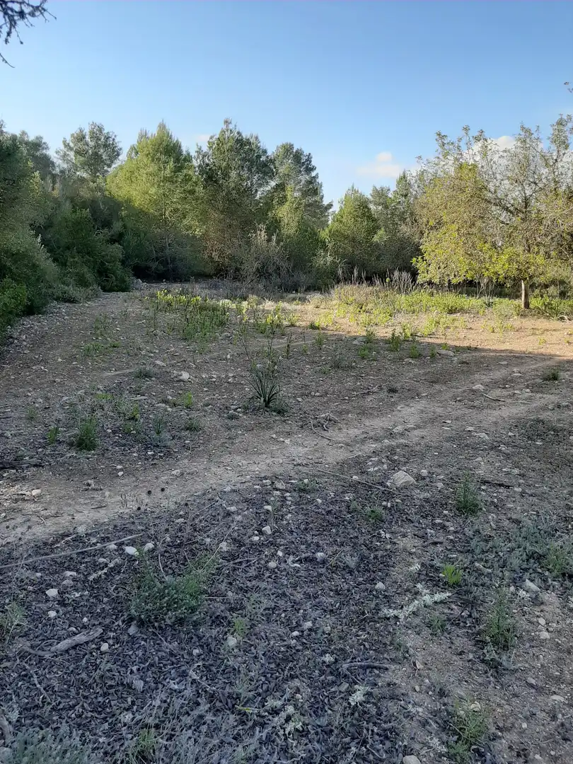 Terrain rustique à vendre à Sant Joan, imagen 14