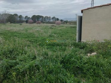 Terreno rustico in vendita a La Pobla del Duc