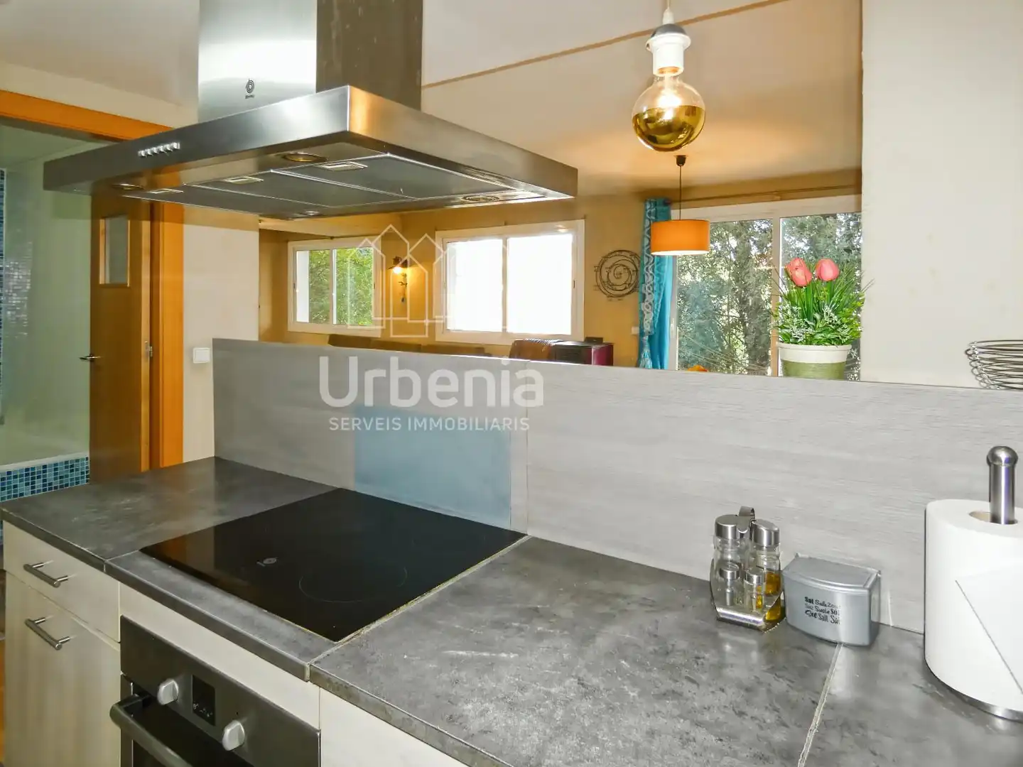 Haus mit Garten zum Verkauf in Urbanitzacions, imagen 70