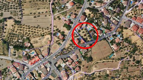 GRAN FINCA URBANA EN NIVAR!, immagine 2