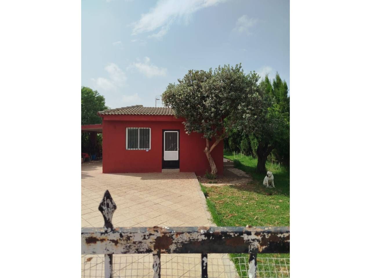Jardí de Casa o xalet en venda en Burriana / Borriana amb Jardí privat