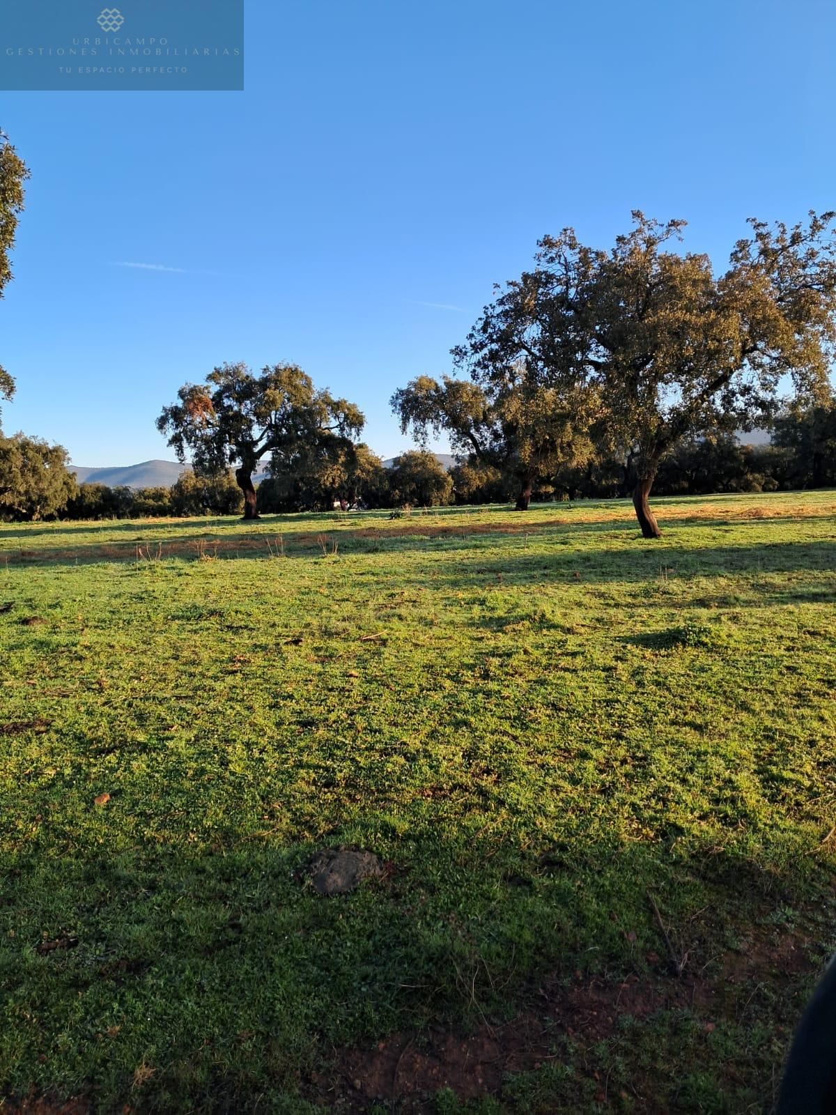 Country house zum verkauf in Mérida