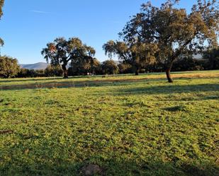 Finca rústica en venda en Mérida