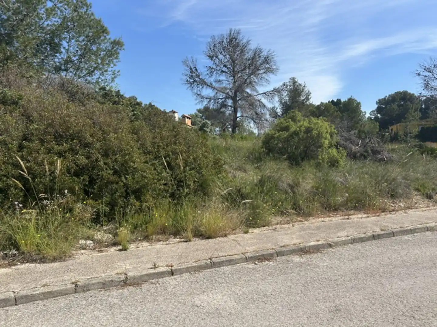 Terreny residencial en venda a Carcaixent, imagen 10