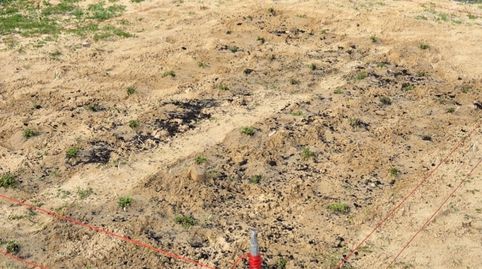 Foto 3 de Finca rústica en venta en Carretera de Jerez, 15, Ctra Jerez - Ctra del Puerto, Sanlúcar de Barrameda