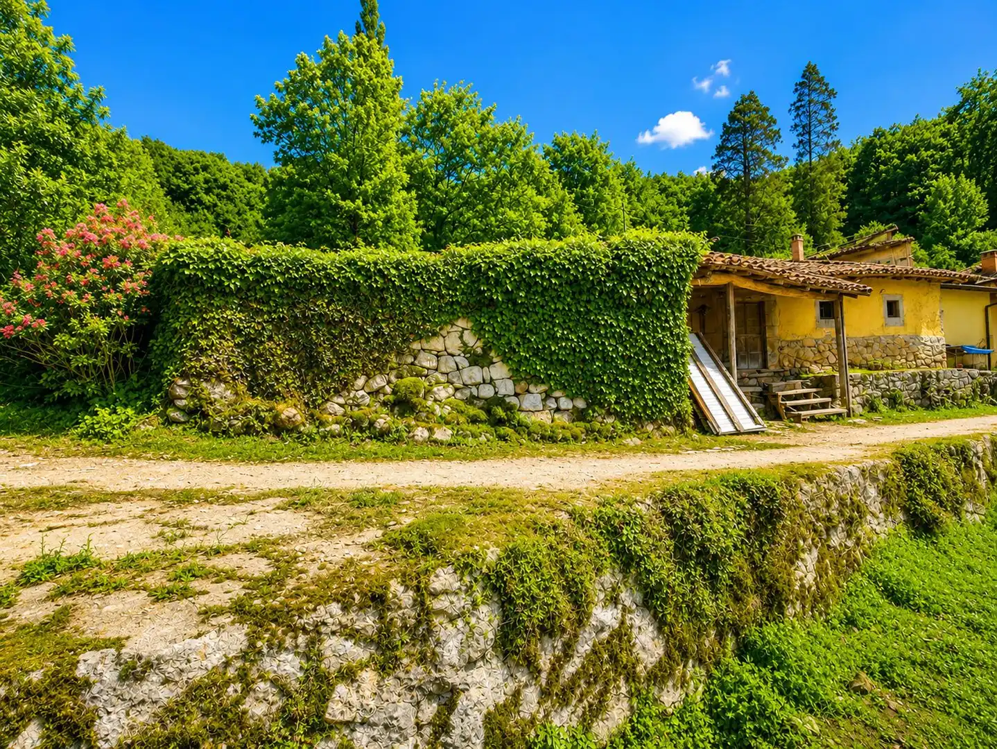 Maison à vendre à Grado, imagen 6