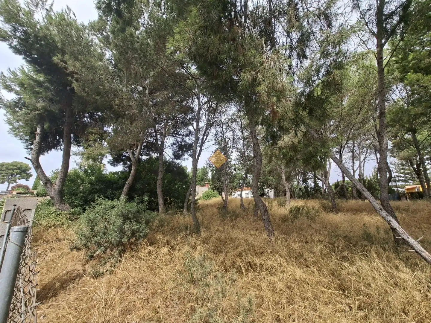 Terreno residenziale in vendita a La Conarda - Montesano, imagen 10