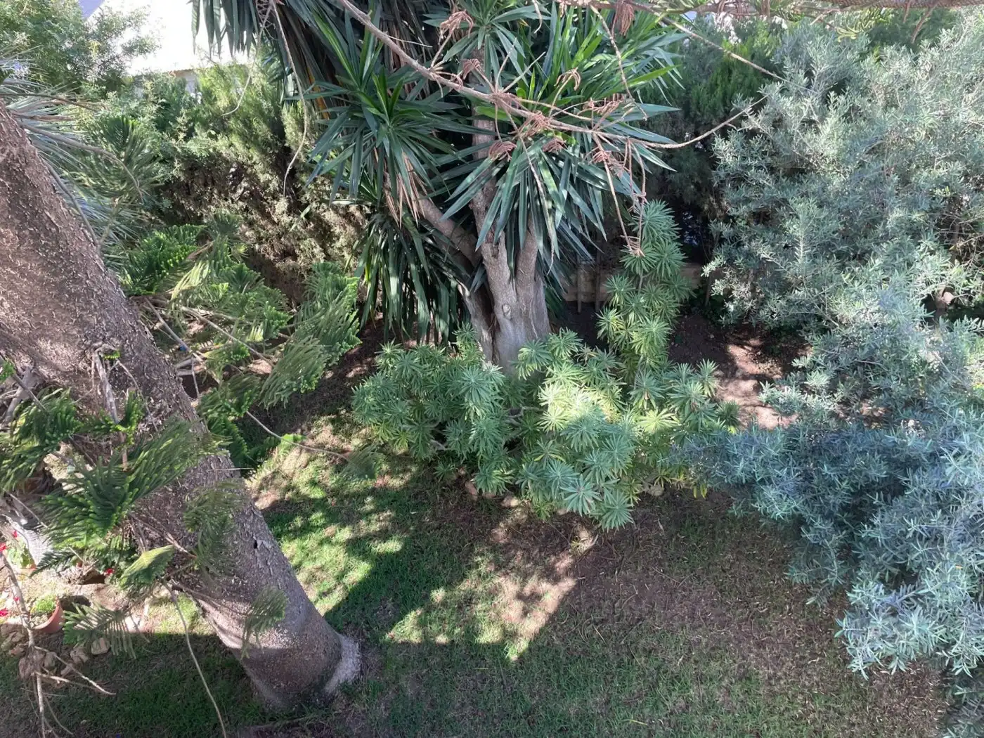 Jardín de Casa o chalet en venta en Murcia con Piscina y Amueblado