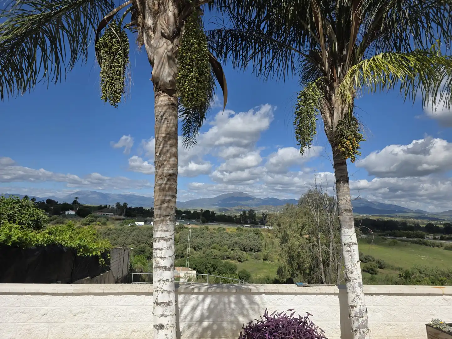 Vista exterior de Finca rústica en venta en Cártama con Aire acondicionado, Jardín privado y Terraza