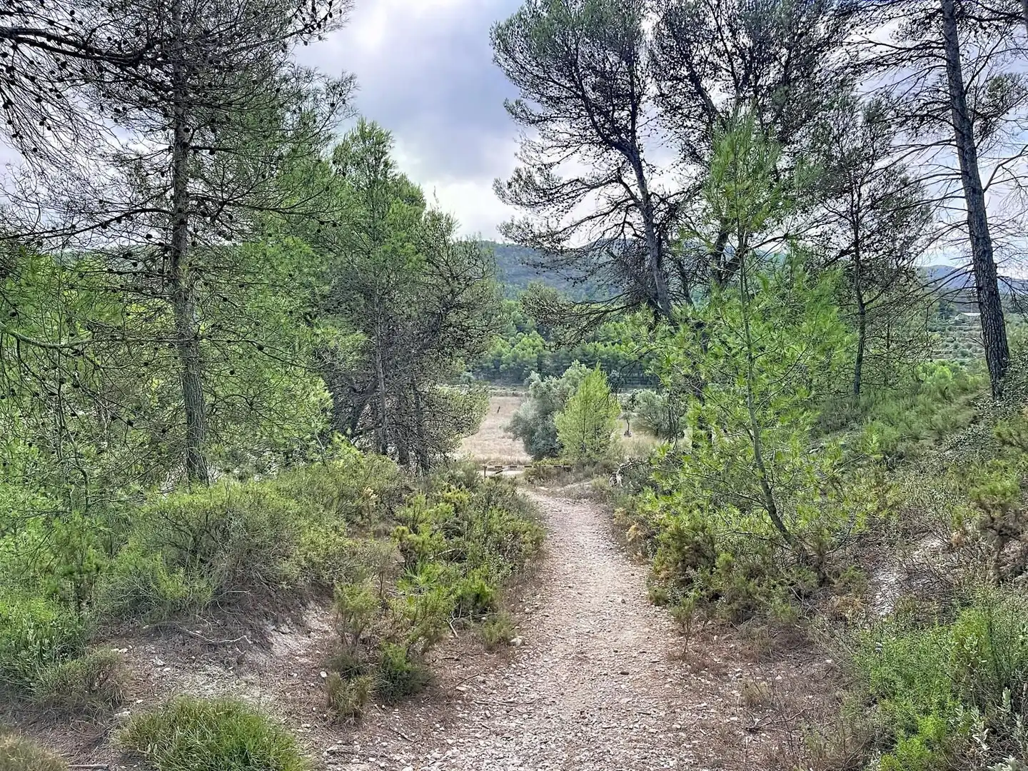 Rural land for sale in Penàguila, imagen 11