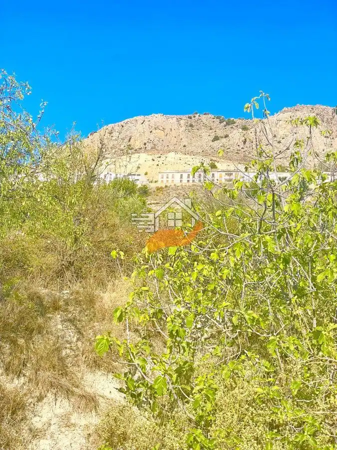 Lands and plots for sale in Vélez-Blanco, imagen 16