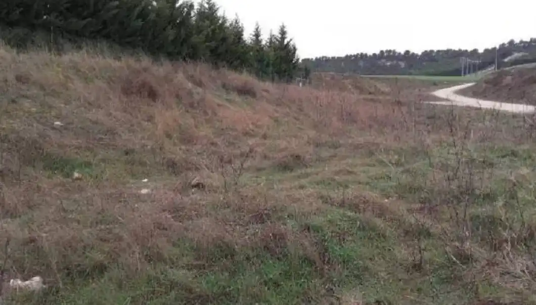 Land for sale in Simancas