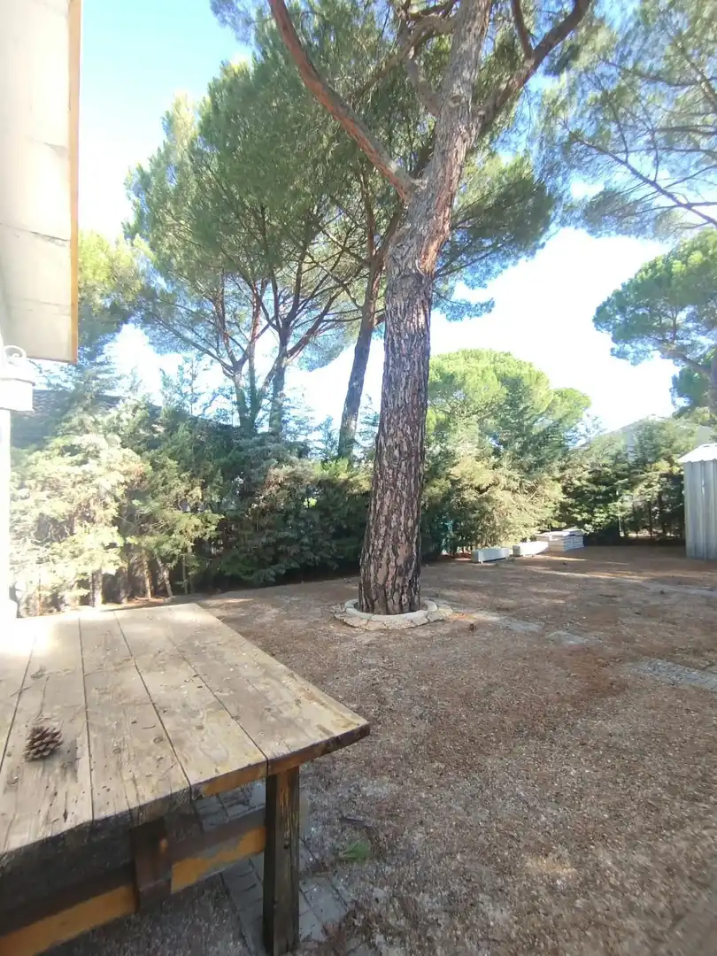 Garden of Houses for sale in Maello, Ávila