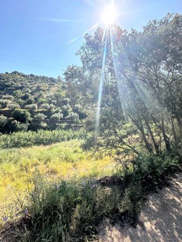 Terreno en Venta en Riogordo