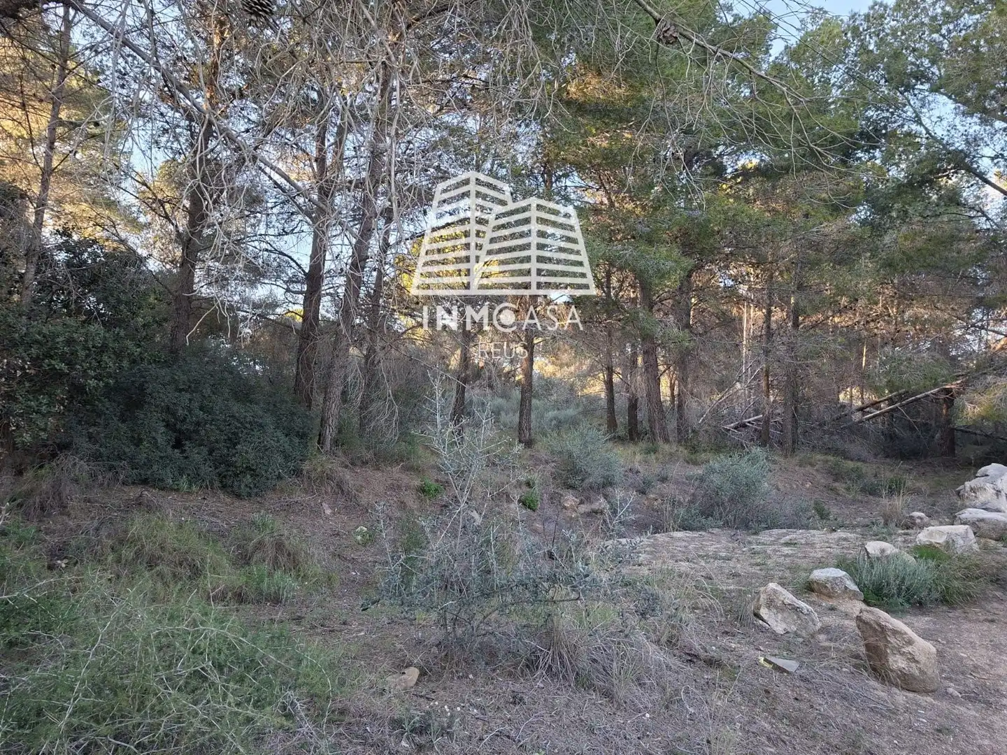 Land for sale in Les Borges del Camp