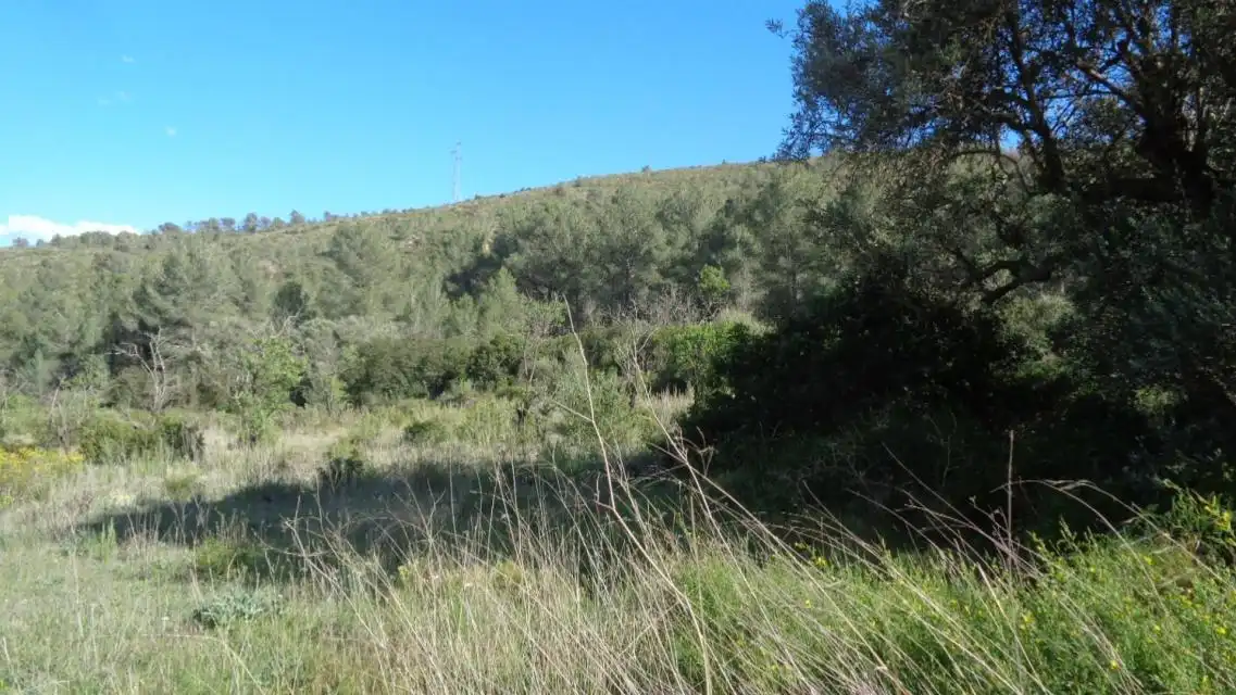Terreno rustico in vendita a PESOLS, imagen 13