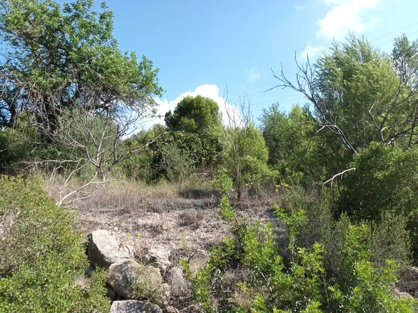 Terreno en venta en Benigànim