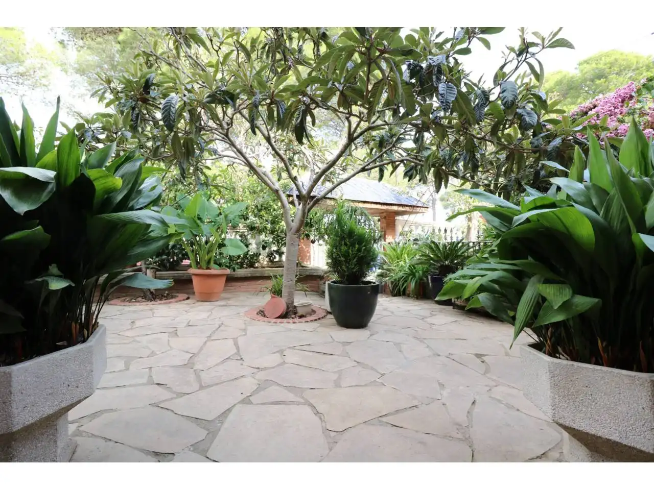 Garden of Houses for sale in Cerdanyola del Vallès  with Private garden
