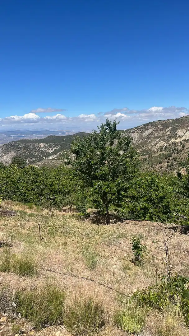Terreni e lotti in vendita a Nigüelas, imagen 3