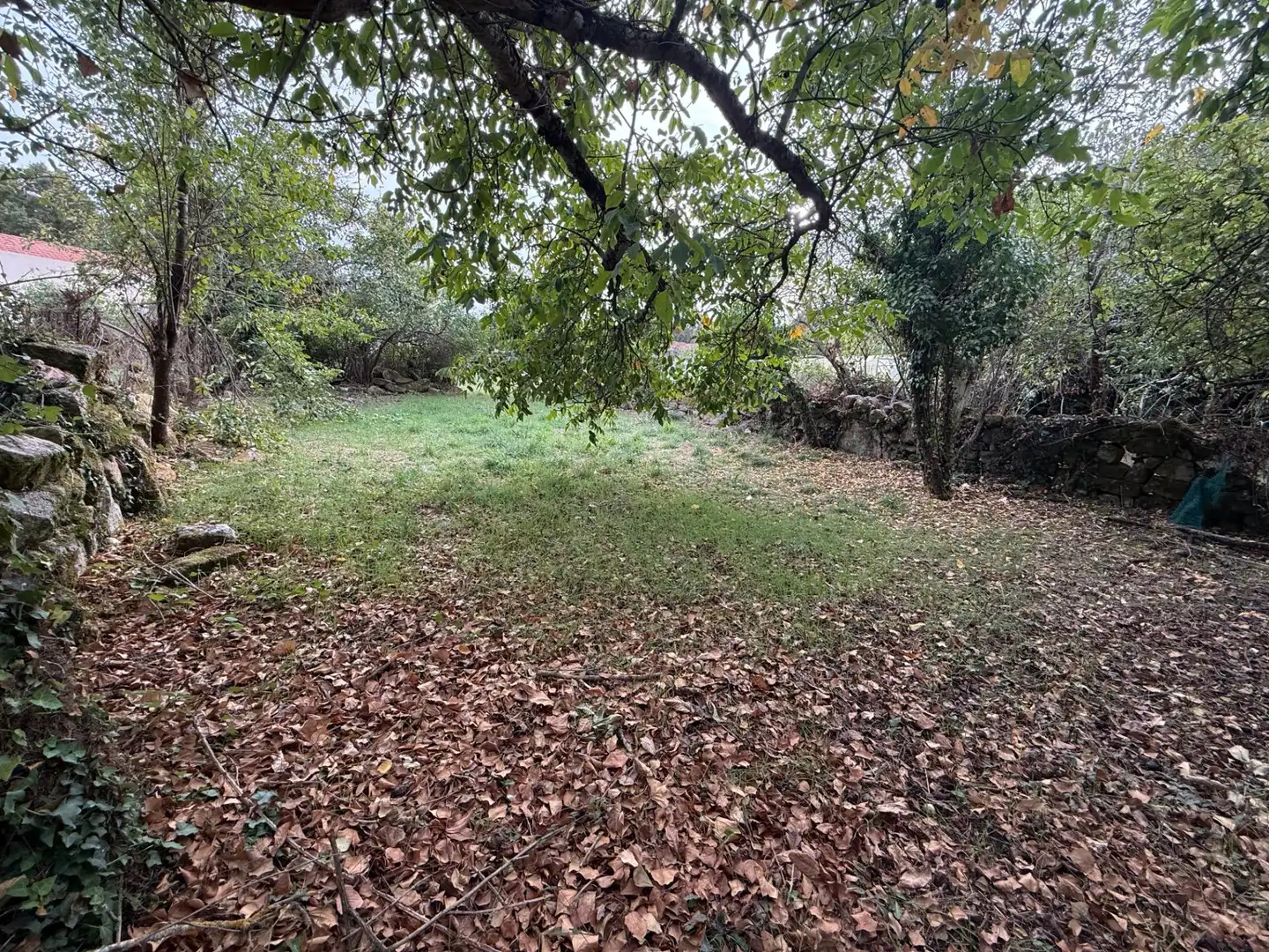 Haus oder Chalet zum Verkauf in Sandiás, Ourense