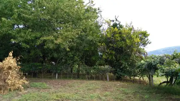 Casa o chalet en venta en Crecente con Jardín privado, Trastero y Amueblado