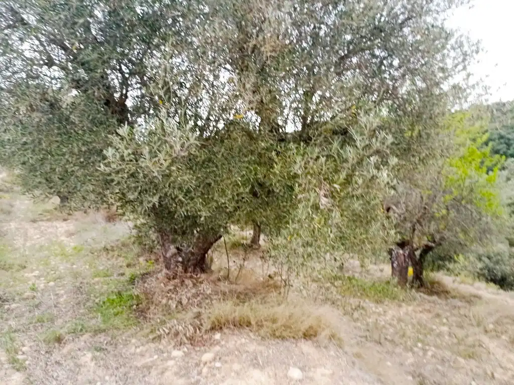 Residential land for sale in La Puebla de Castro, imagen 2