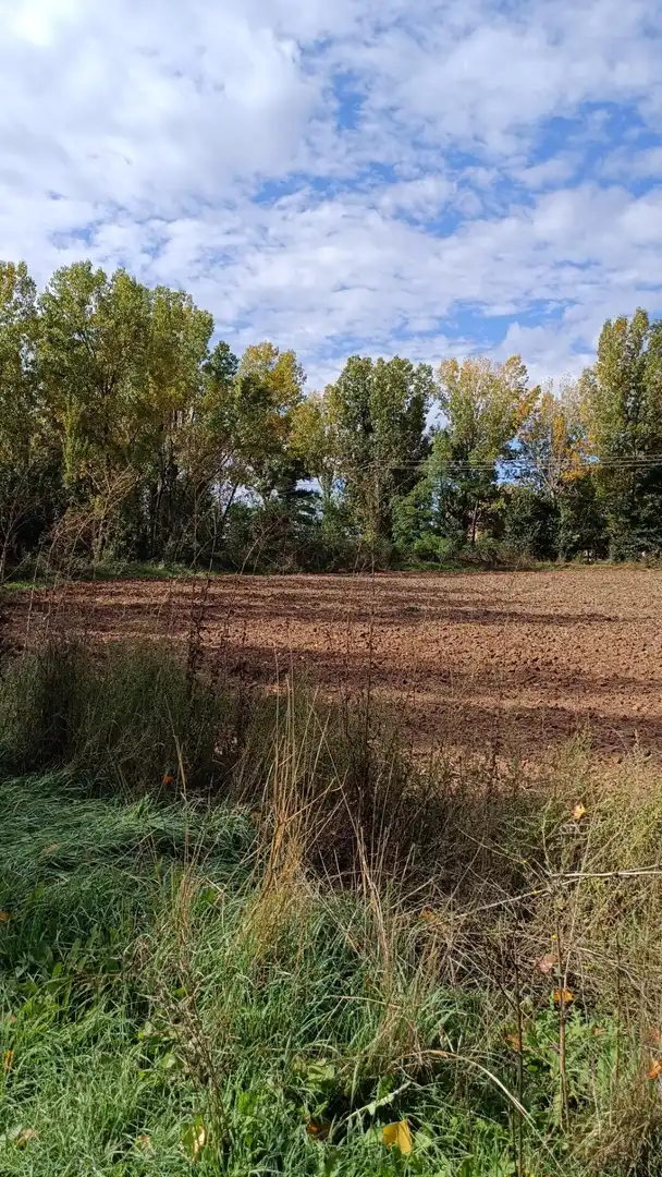 Edificio en venta en Pasaje Sopetran, Cañizar