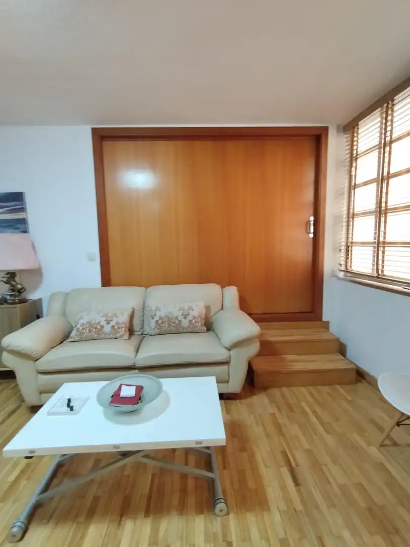 Sala d'estar de Apartament de lloguer en Murcia amb Aire condicionat, Calefacció i Parquet