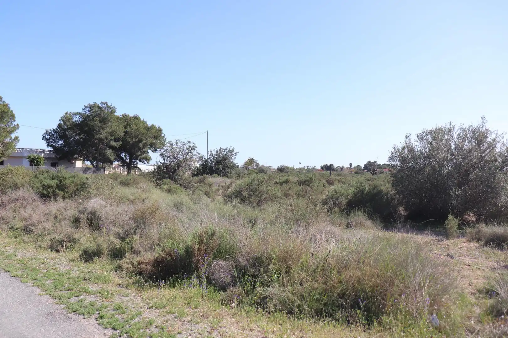 Grundstücke zum Verkauf in Elche / Elx