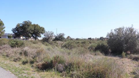 Photo 2 of Land for sale in Partida Perleta, 1184, Perleta - Maitino, Elche / Elx