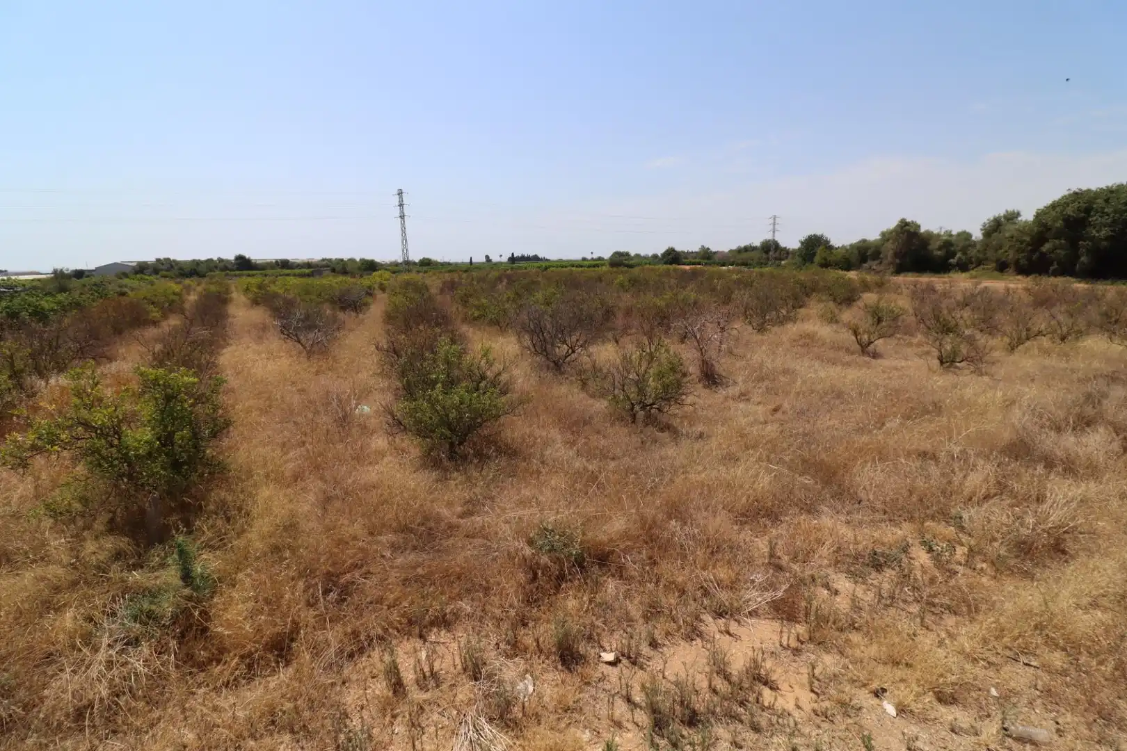 Terreno rustico in vendita a Alcanar, imagen 6