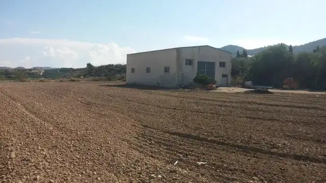 Terreny rústic en venda a Desamparados - Hurchillo - Torremendo