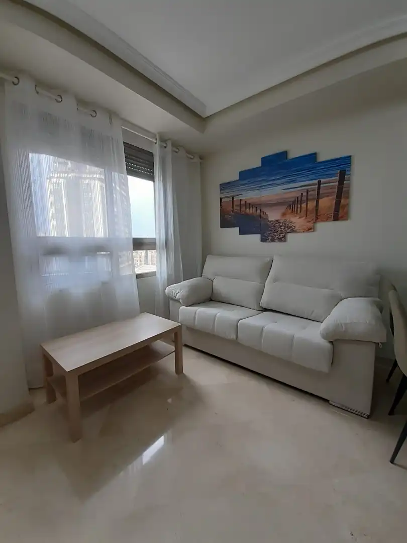 Sala d'estar de Apartament de lloguer en Valencia amb Aire condicionat, Calefacció i Terrassa