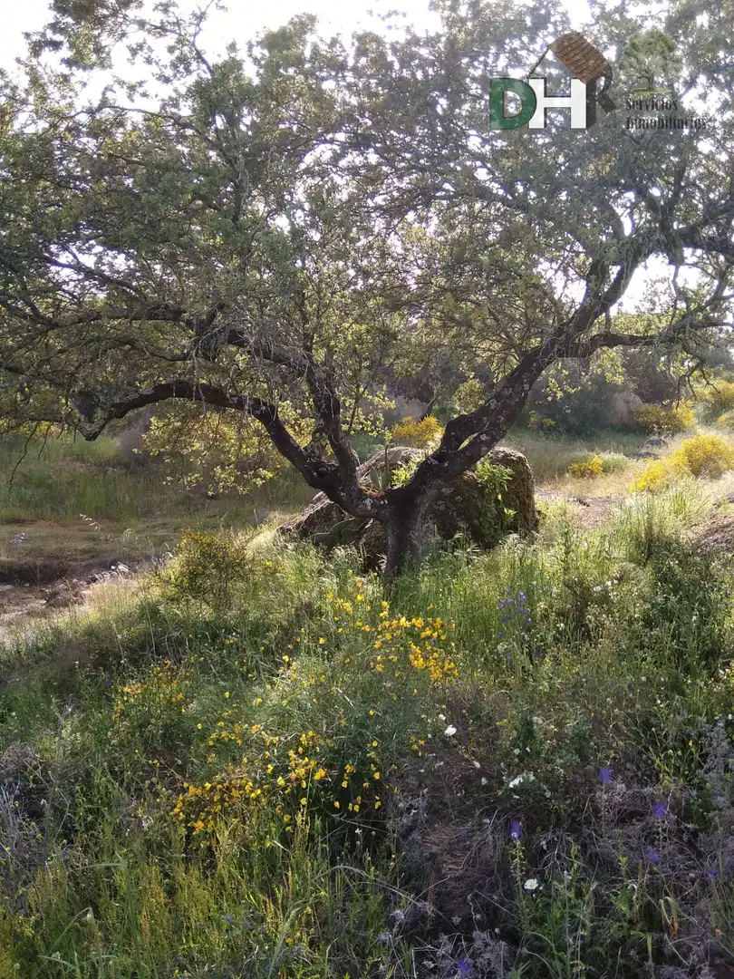 Jardí de Pis en venda en Brozas amb Calefacció, Terrassa i Traster