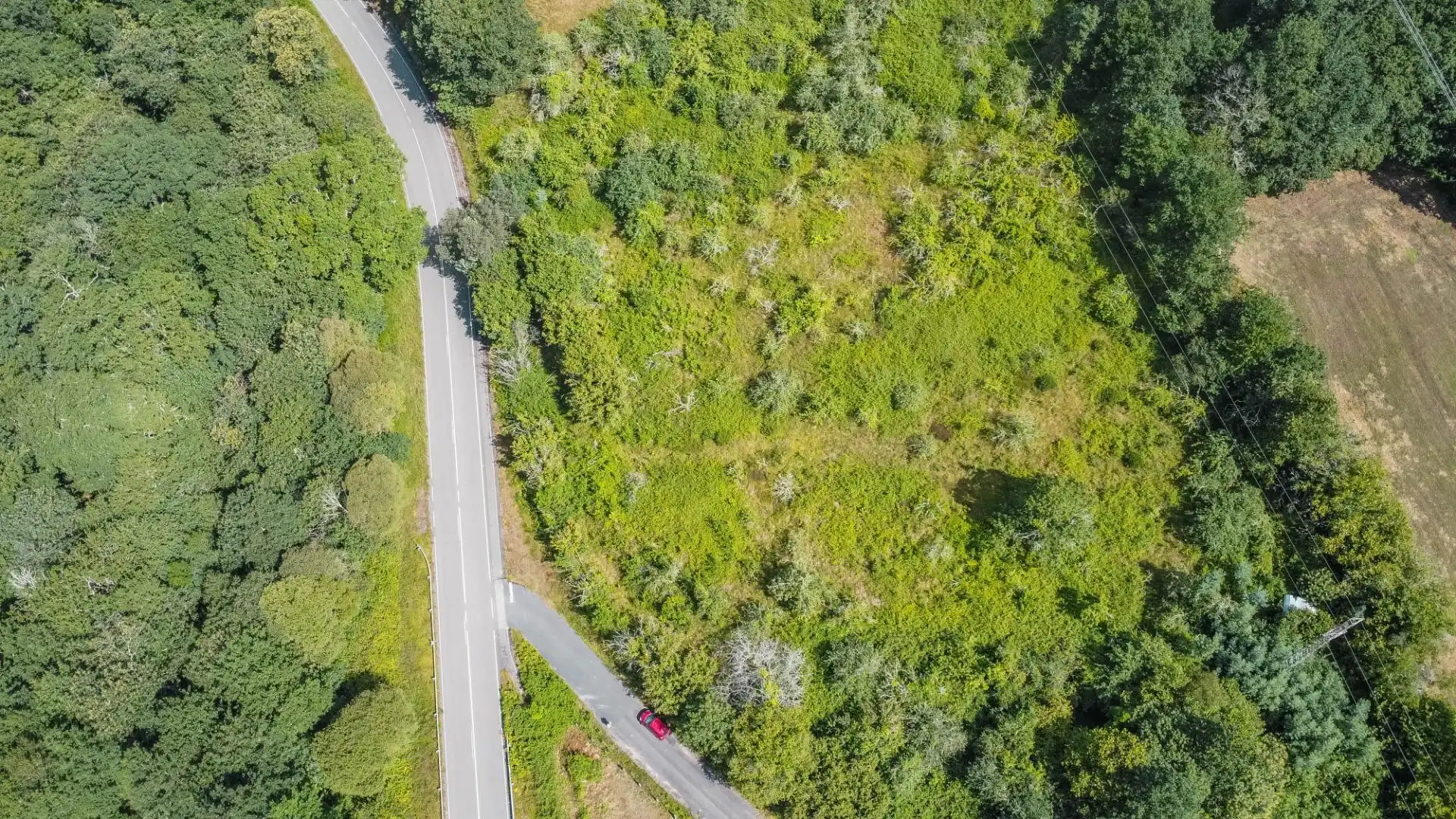 Rural land for sale in del pareo, imagen 4