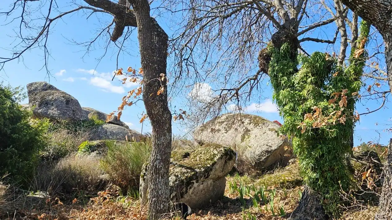 Casa o chalet en venta en El Boalo - Cerceda – Mataelpino con Calefacción