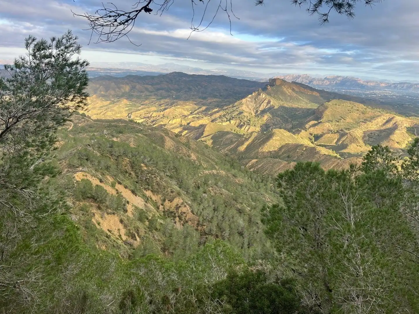 Vista exterior de Finca rústica en venta en Murcia con Piscina y Sauna