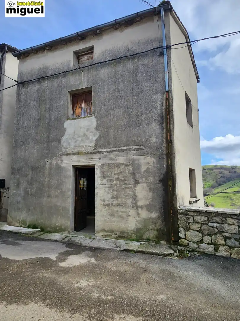 Außenansicht von Country house zum Verkauf in Peñamellera Baja