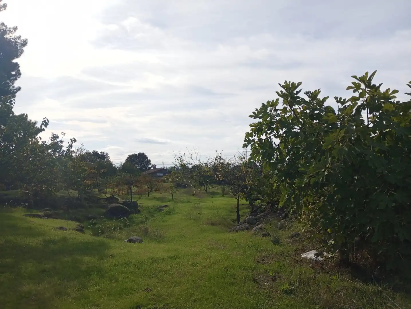 Terreni e lotti in vendita a Candeleda, imagen 3