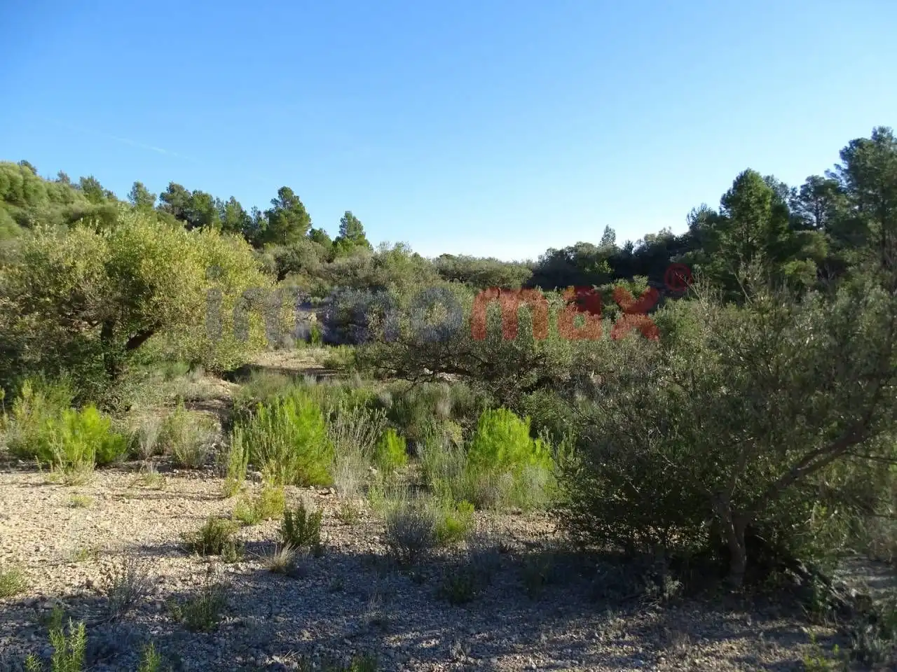 Terrain résidentiel à vendre à Xerta, imagen 19