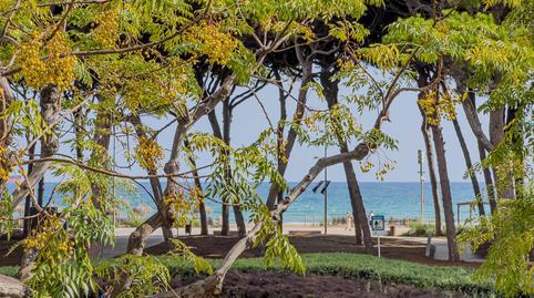 Photo 2 of Apartment for sale in Paseo de Pau Casals, La Pineda, Tarragona