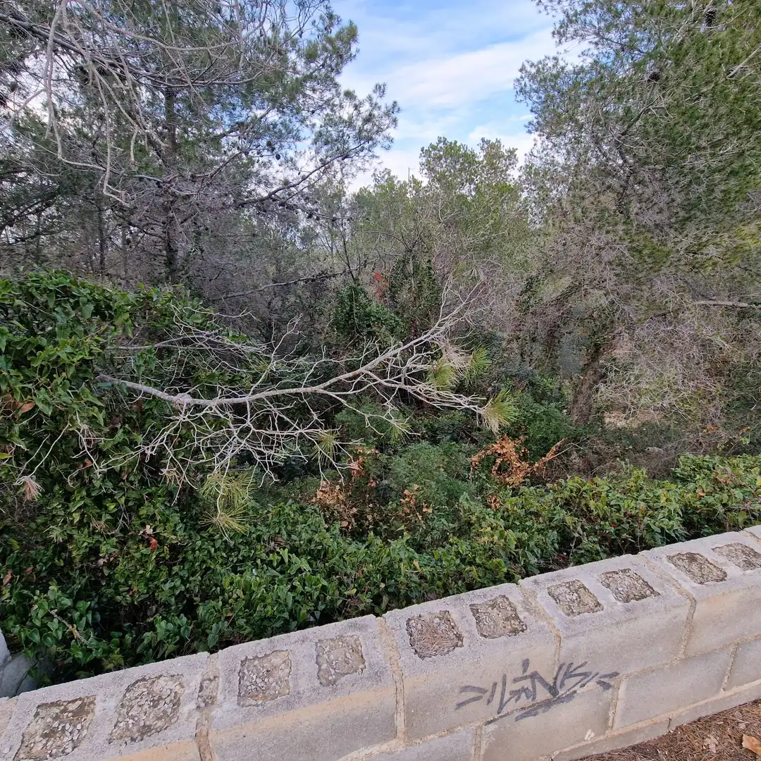 Terreno residencial en venta en Carrer Gessamí 18, imagen 9